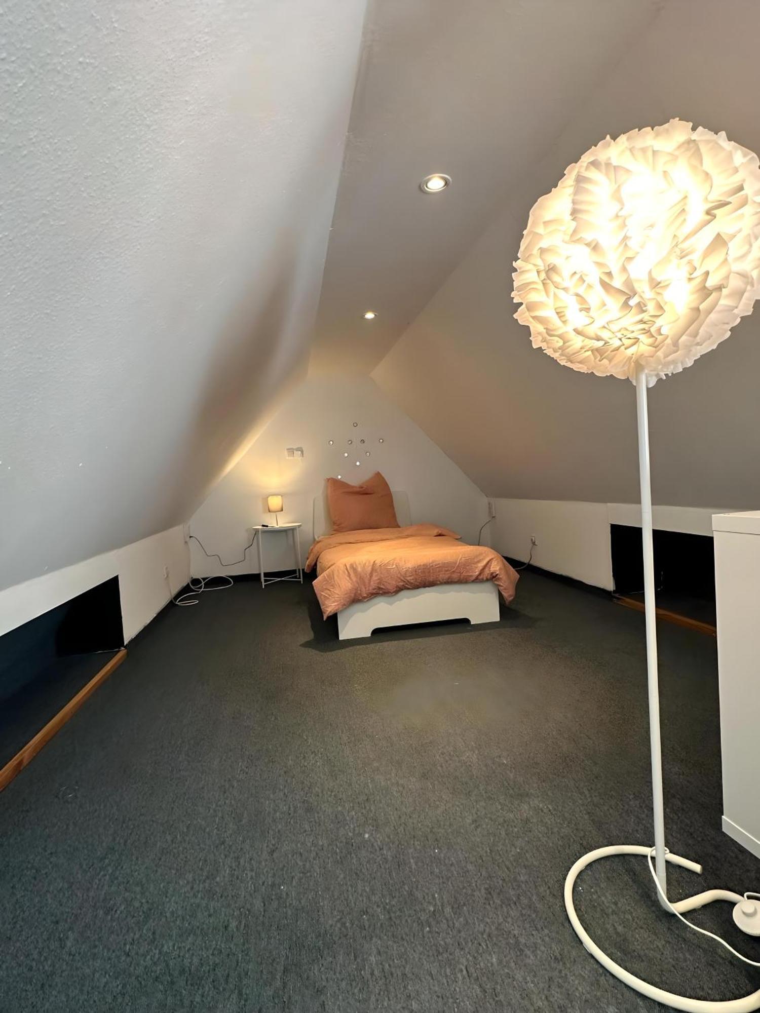 באד בנטהיים Apartment Souha II - Grosse Unterkunft In Bentheim מראה חיצוני תמונה